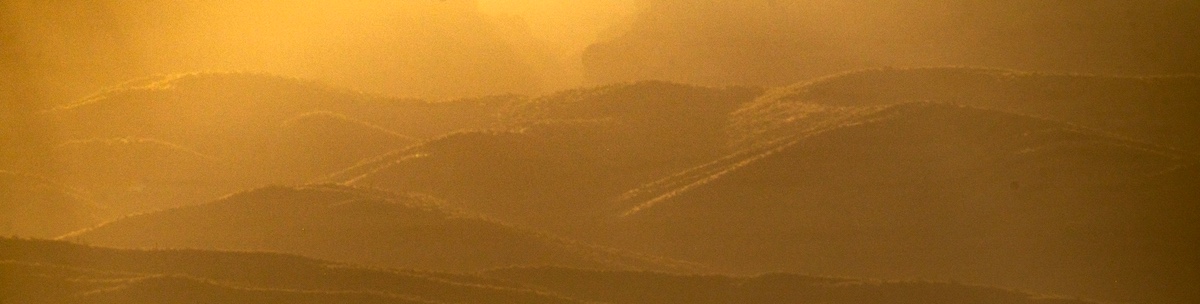 Random Banner Image